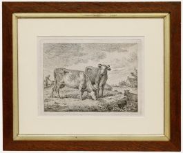 Cornelis van Noorde - 18th Century Etching, Grazing Cattle
