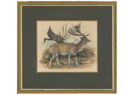 20th Century Watercolour - Highland Stag