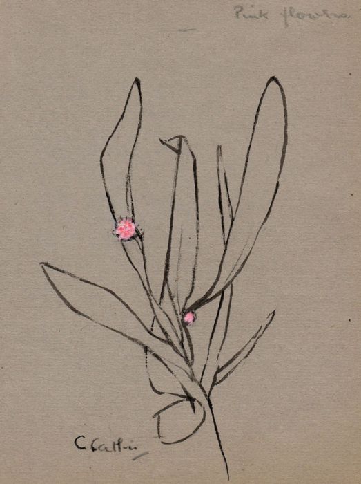 Christopher Catlin RBA - Early 20th Century Drawing - Pink Flowers