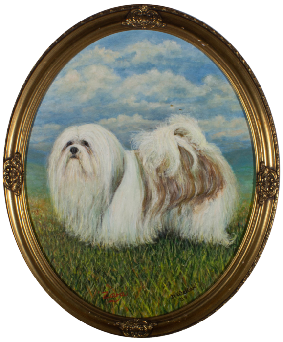 J. D. Wellard  - 1989 Oil, Zara the Shih Tzu