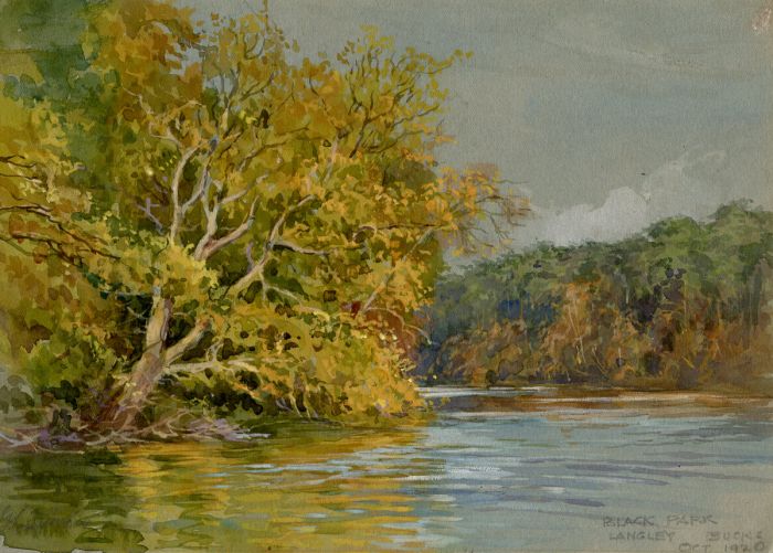 George Charles Francis (1860-1940) - Black Park, Langley, Bucks Oct 1920