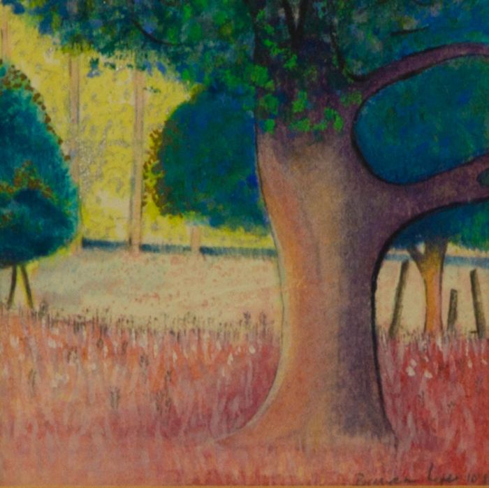 Bronwen Coe - 1987 Watercolour, Tree