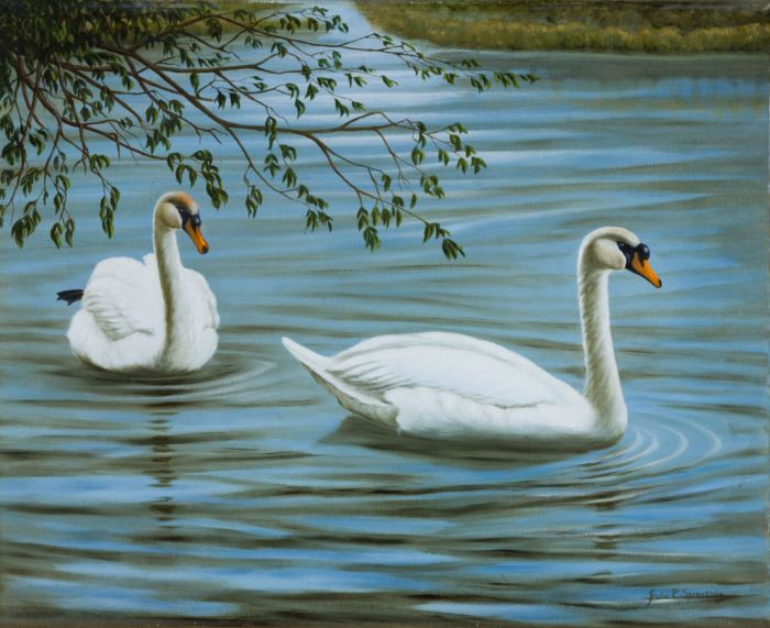 John R. Spranklin - Contemporary Oil, River Idyll, Swans