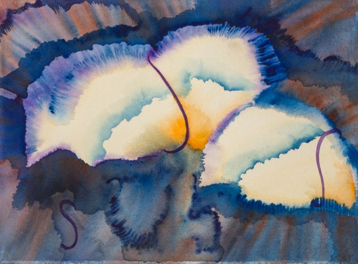 Rosalind Adams (née Thuillier) - Contemporary Watercolour, Abstract Floral Study