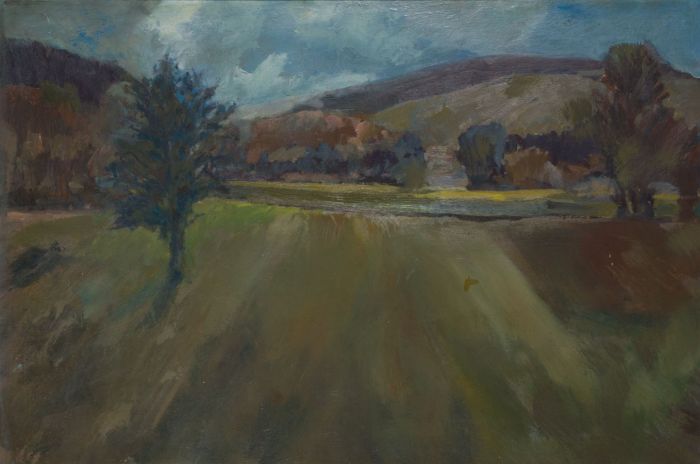 Gilbert Adams FRPS (1906-1996) - Early 20th Century Oil, Field in a Landscape