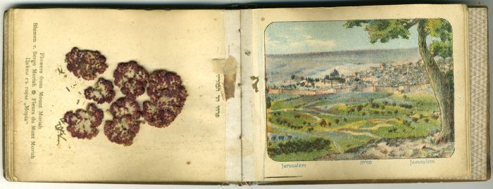 Small 1917 Misc - Flowers and Views of the Holy Land