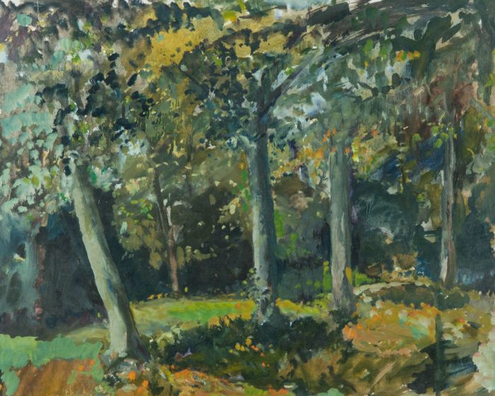Gilbert Adams FRPS (1906-1996) - Mid 20th Century Oil, Forest