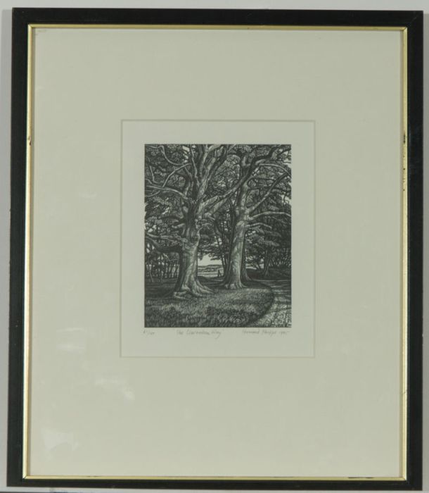 Howard Phipps (b.1954) - Signed 1995 Wood Engraving, The Clarendon Way