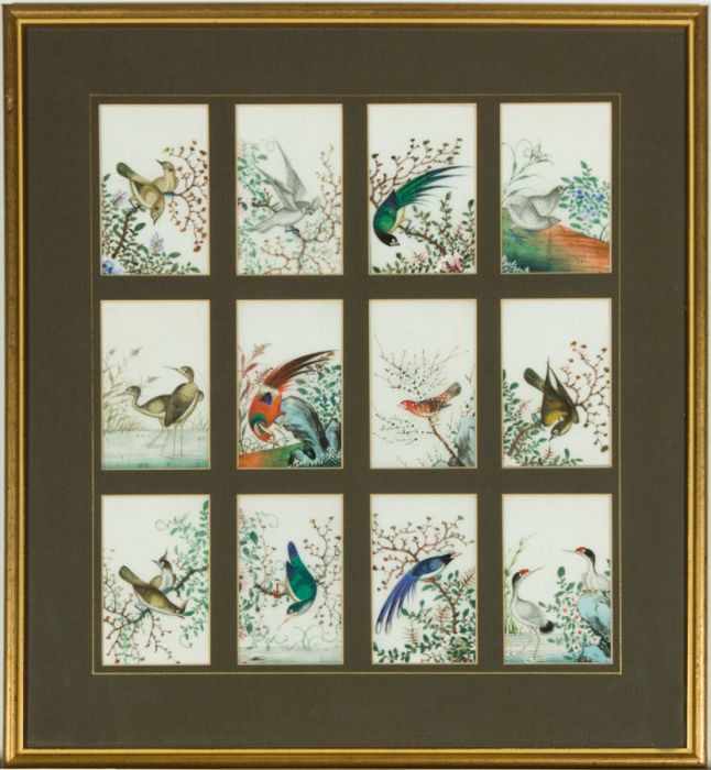 Excellent Chinese School 19th Century Gouaches on Pith Paper - Bird Studies