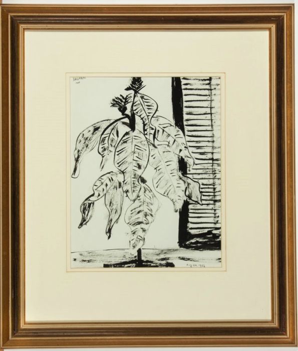 Arnold Daghani (1905-1985) - Signed 1962 India Ink, Still Life of a Rubber Plant