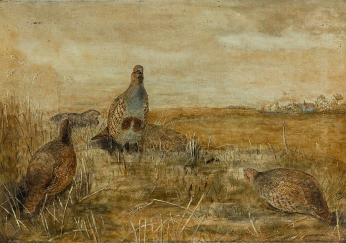 E.C. Moy - Signed 1897 Oil, Grouse in a Highland Landscape