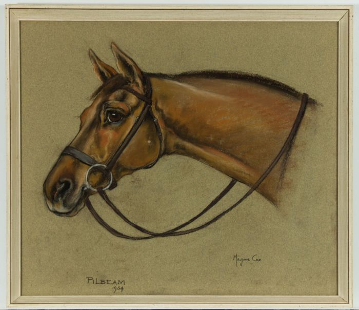 Marjorie Cox (1915-2003) - Signed 1964 Pastel, Study of a Horse, 'Pilbeam'
