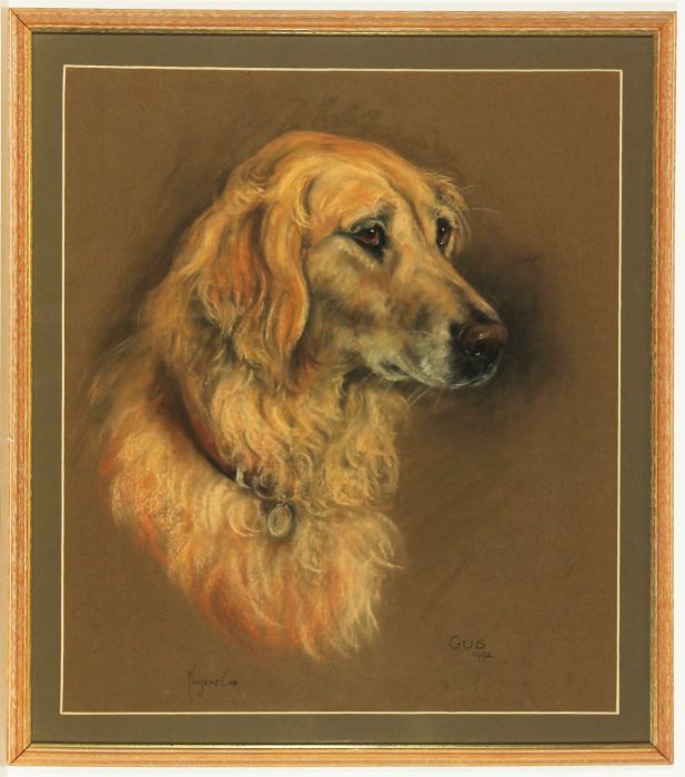 Marjorie Cox (1915-2003) - Signed and Framed 1992 Pastel, Golden Retriever 'Gus'