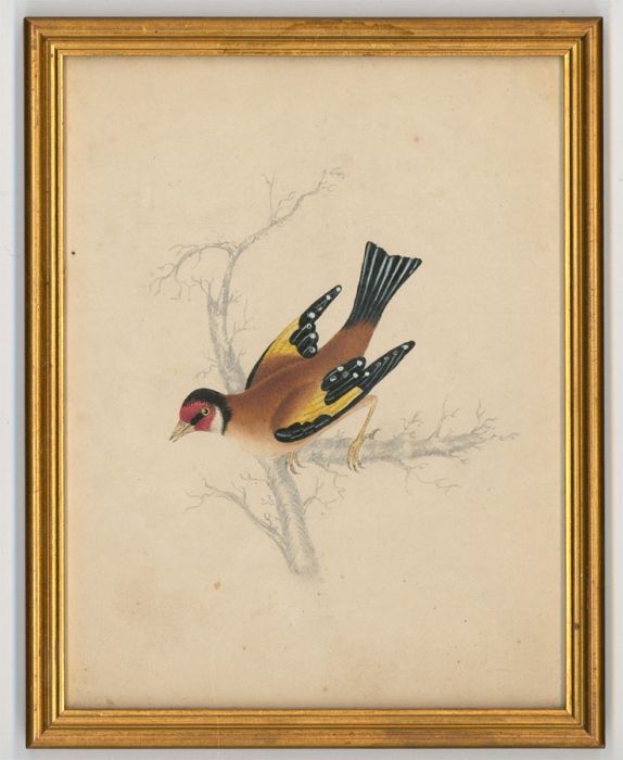 S. F. Ferguson - Gilt Framed 1845 Watercolour, The Goldfinch