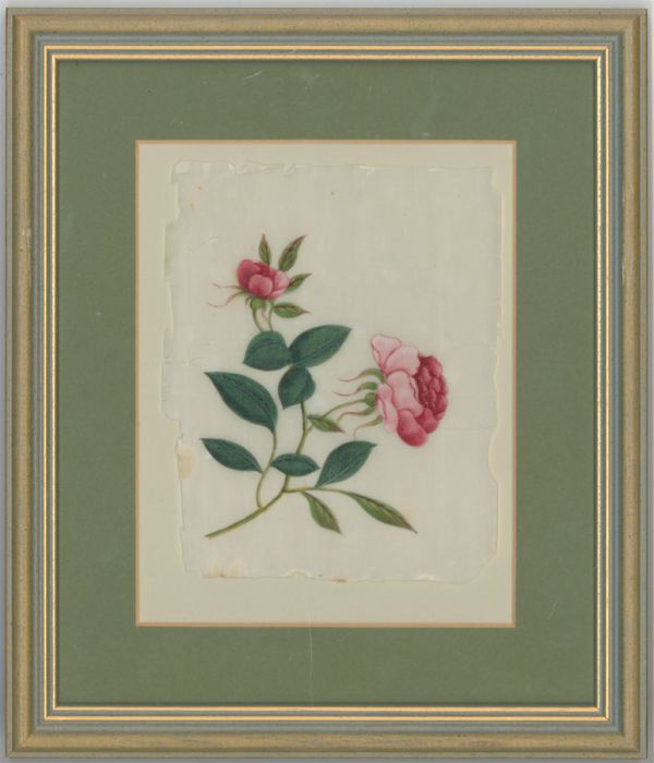 Framed 19th Century Cantonese Gouache on Pith Paper - Wild Pink Roses