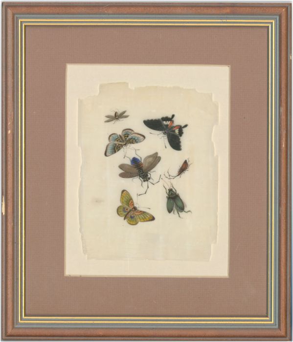 Framed 19th Century Cantonese Gouache on Pith Paper - Butterflies and Insects