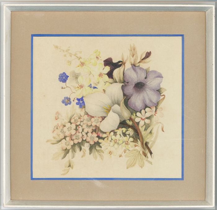 Framed 19th Century Botanical Watercolour - Petunia Flowers