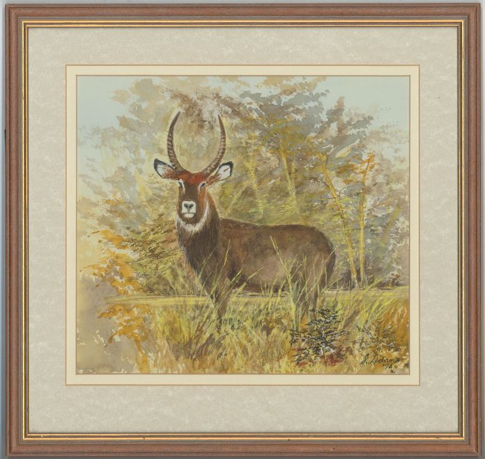 James Frank Adams (1923-2008) - Signed and Framed 1994 Watercolour, Antelope