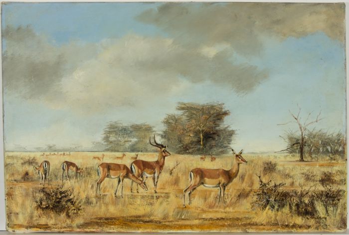 James Frank Adams (1923-2008) - Signed 1970 Oil, Antelope in the Savanna