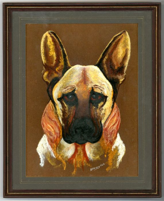 Di Story - Signed and Framed 1984 Pastel, The German Shepherd