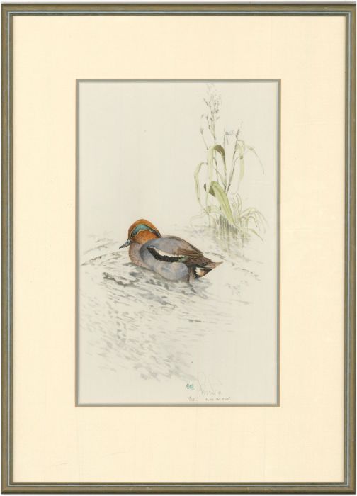 Alan W. Hunt - Signed 1981 Watercolour, Mallard