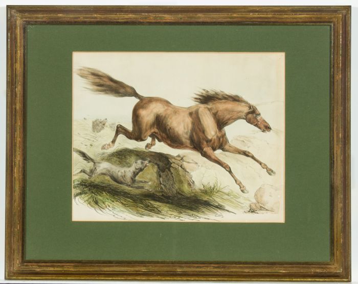 Early 19th Century Lithograph - Horse Being Chased by Dogs