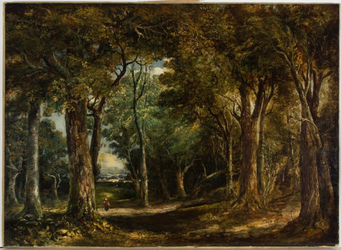 Arrtib. Robert Ladbrook (1768-1842) - 19th Century Oil, Wooded Landscape