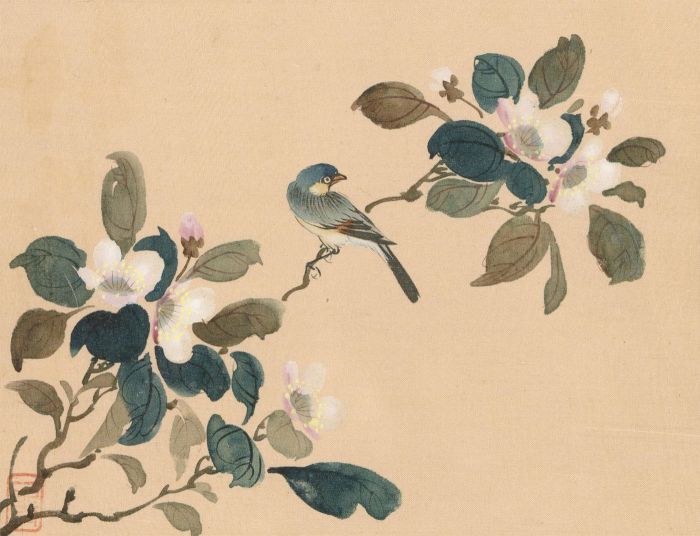 Japanese Mid 20th Century Watercolour - Bird on Flowering Branch