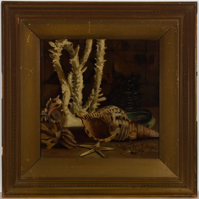 Late 19th Century Oil - Still Life Shells and Coral