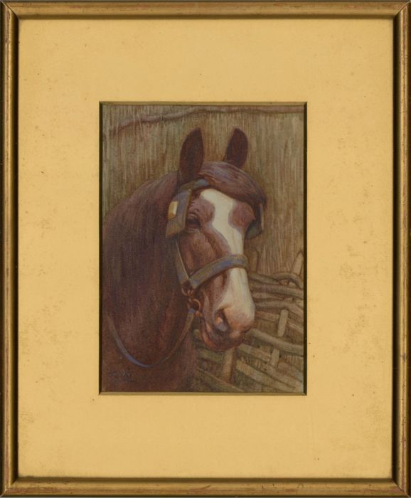 Mildred White - Signed 1926 Watercolour, Portrait Study of a Horse