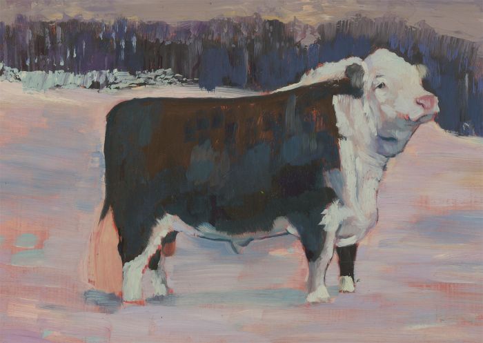 John Cherrington (1931-2015) - 1978 Oil, Study of a Bull in Snow