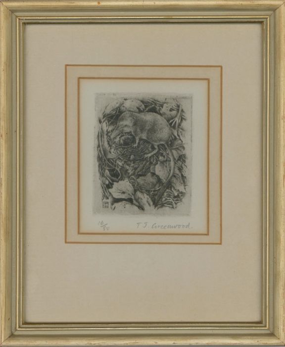 Timothy John Greenwood (1947-2010) - 20th Century Etching, Common Shrew