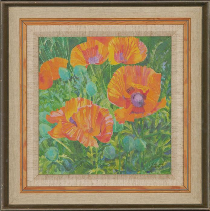 John Ivor Stewart PPPS (1936-2018) - 20th Century Acrylic, Sunlight & Poppies
