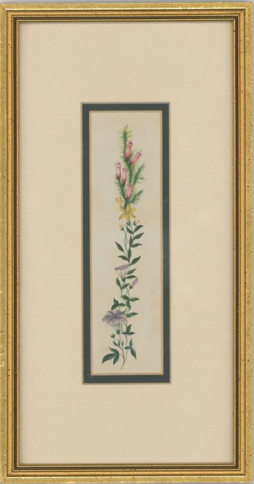 Framed Late 19th Century Watercolour - Floral Garland