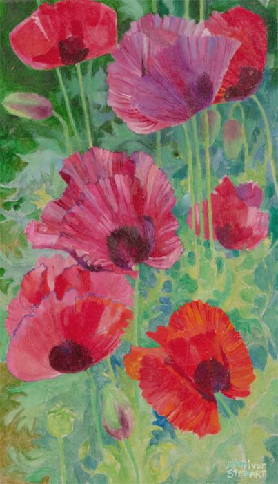 John Ivor Stewart PPPS (1936-2018) - Signed Contemporary Acrylic, Opium Poppies