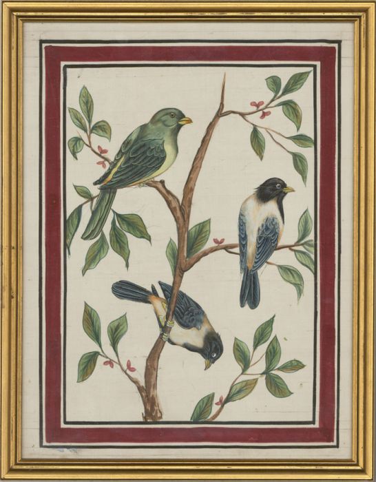 Framed Mid 20th Century Gouache - Birds Catching a Spider