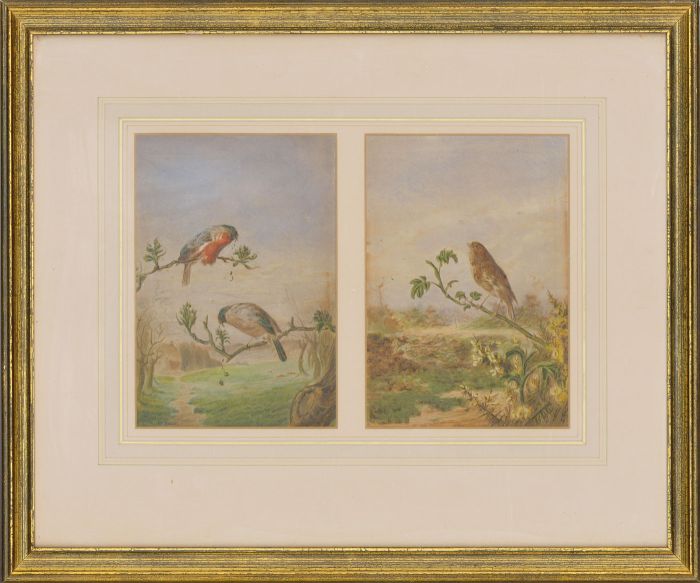 Harry Y. Bright (1846-1895) - A Pair of Watercolours, Chaffinches and Thrush