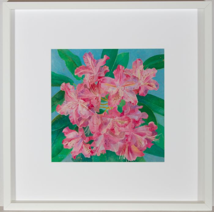 John Ivor Stewart PPPS (1936-2018) - Contemporary Oil, Rhododendron Spring