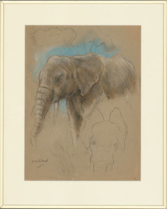 Raymond John Vandenbergh (b.1889) - Signed & Framed Pastel, African Elephant