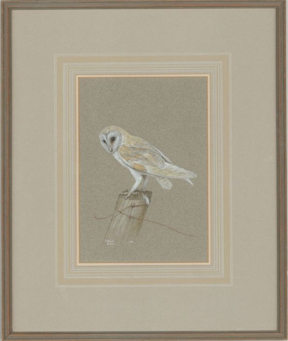 Kathleen Nelson - Framed 1977 Gouache, Study of a Barn Owl