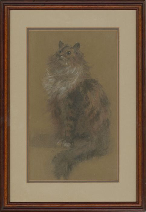 Attrib. to Henry Mitton Wilson
(1873–1923) - 19th Century Pastel, Persian Cat