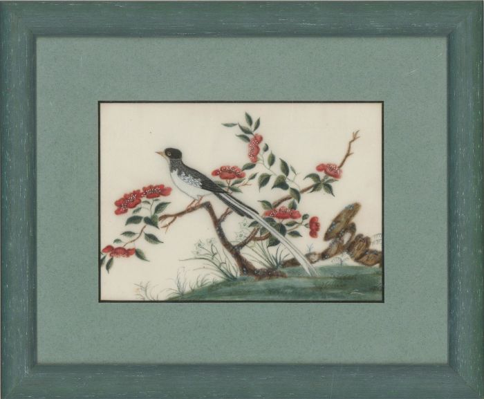 19th Century Gouache - Exotic Black and White Bird