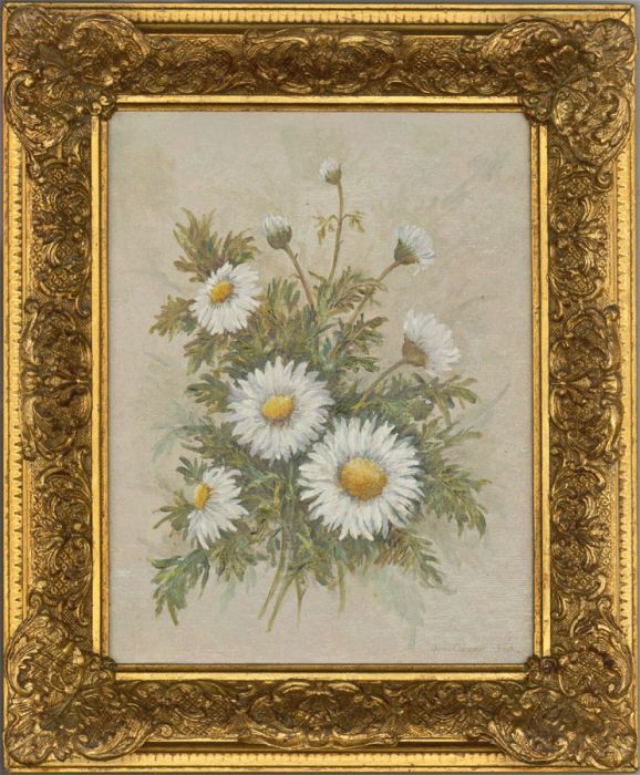 Joan Campbell SWA - 20th Century Oil, Daisies