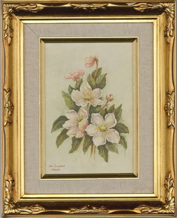 Joan Campbell SWA - Signed & Framed Mid 20th Century Acrylic, Christmas Roses