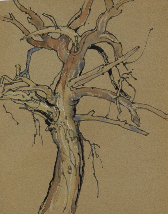 19C Watercolour Study of a Tree
