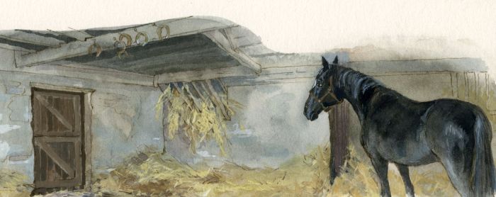 Janet Wickham - Contemporary Watercolour, Illustrations from Black Beauty