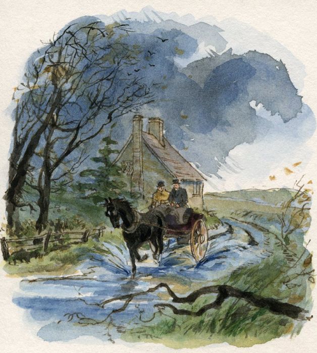 Janet Wickham - Contemporary Watercolour, Illustrations from Black Beauty