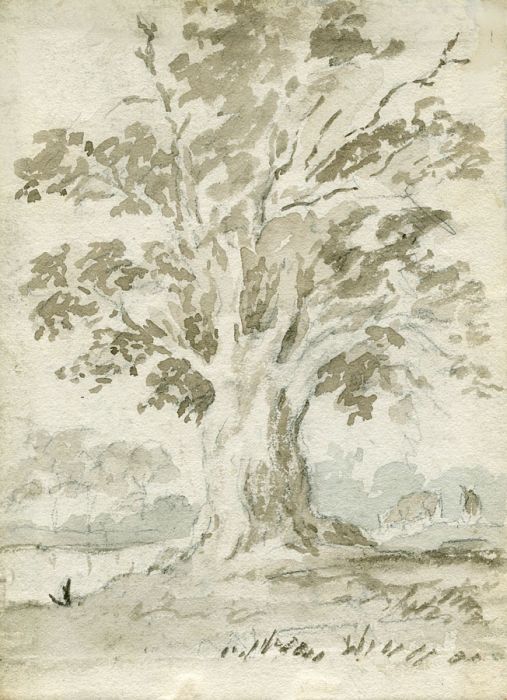 Watercolour of a Tree