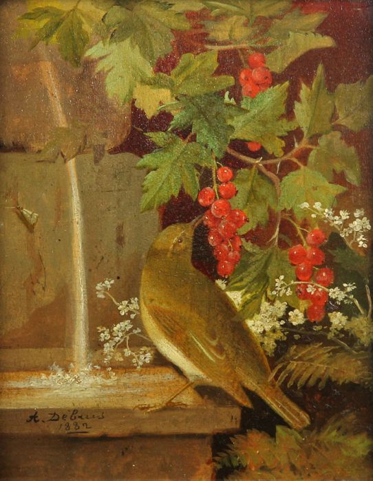 A. Debuis - Wonderful Pair of Framed Oils of Songbirds Dated 1882