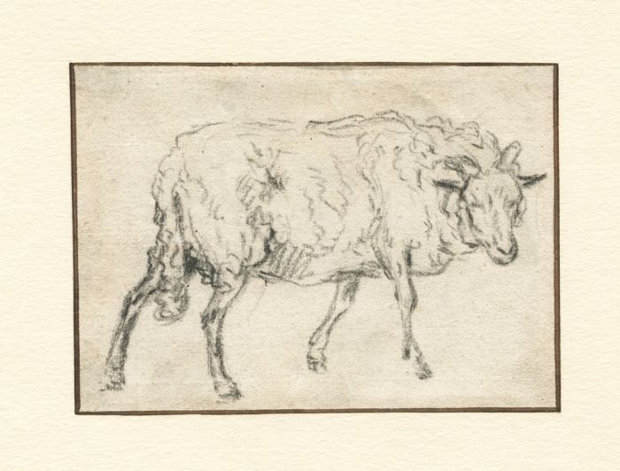 Good 18th Century Charcoal Drawing - A Sheep